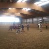 Baunsbergschule » 2018-09-26 Besuch bei den Pferden vom Keilsberghof